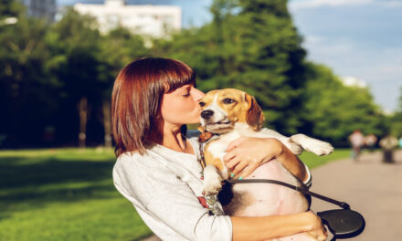 Positive Dog Training with Healthy Dog Training Treats