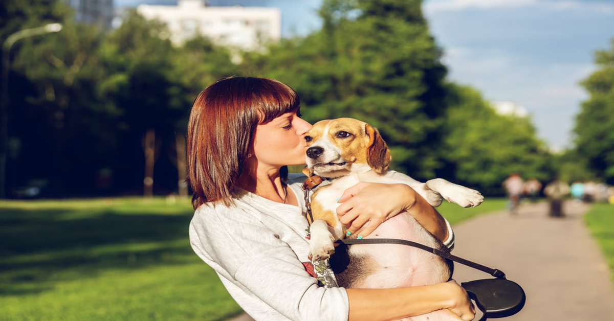 best dog training guides